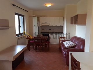 Bilocale in Affitto a Grottaferrata, 600&euro;, 40 m²