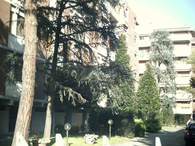 Quadrilocale in Affitto a Pisa, 360&euro;, 12 m², arredato