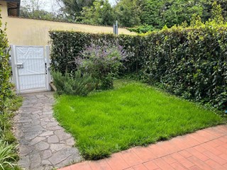 Trilocale in Affitto a Massa, zona Ronchi, 65 m², arredato