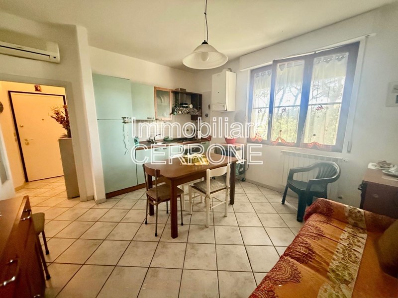 Bilocale in Vendita a Cecina, zona Cecina Marina, 169'000&euro;, 40 m², arredato