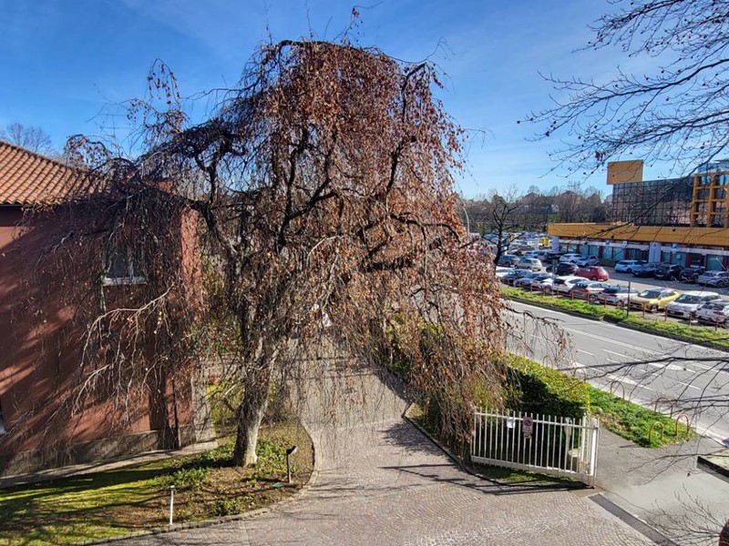 Trilocale in Vendita a Gallarate, 148'000&euro;, 100 m²