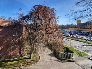 Trilocale in Vendita a Gallarate, 148'000&euro;, 100 m²