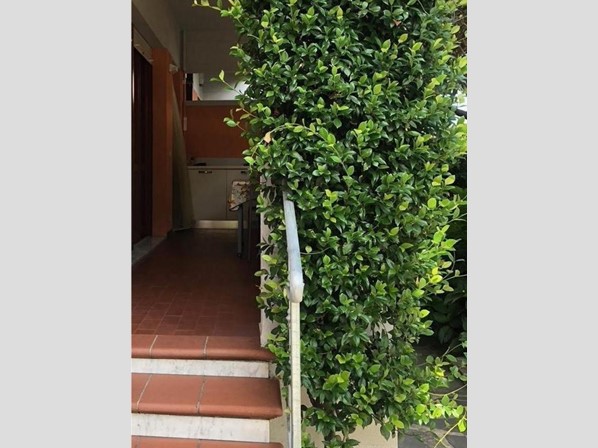 Appartamento in Vendita a Carrara, zona Avenza, 260'000&euro;, 130000 m²