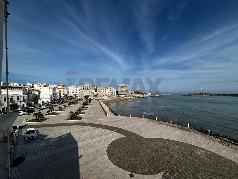 Appartamento in Vendita a Vieste, 194 m²