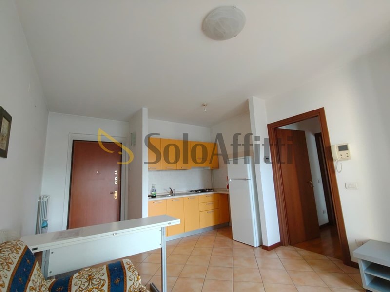Bilocale in Affitto a Gallarate, zona Arnate, 650&euro;, 55 m², arredato