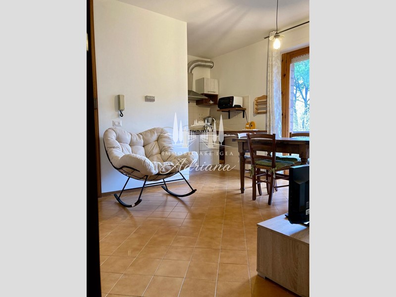 Trilocale in Vendita a Monteroni d'Arbia, 95'000&euro;, 47 m², arredato, con Box