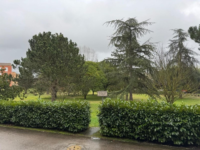 Appartamento in Vendita a Siena, zona Taverne D'arbia, 185'000&euro;, 98 m², arredato, con Box