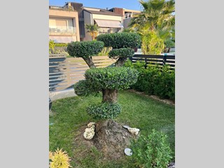 Trilocale in Vendita a Peschiera del Garda, 575'000&euro;, 130 m², arredato, con Box