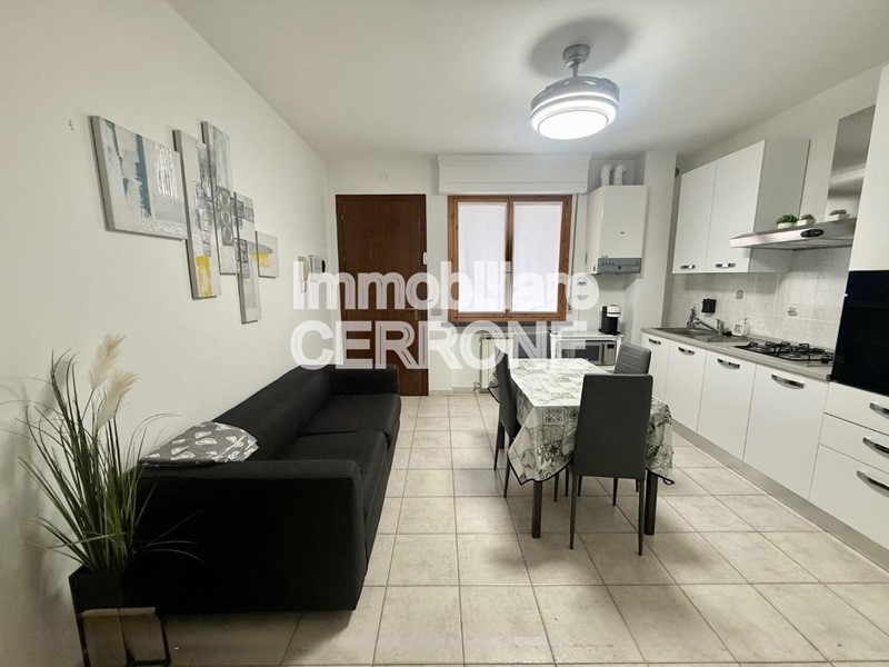 Bilocale in Affitto a Cecina, zona Cecina Marina, 1'600&euro;, 45 m², arredato