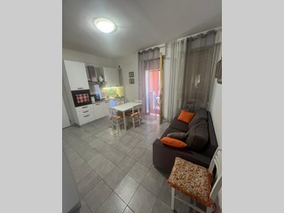 Trilocale in Affitto a Pisa, 342&euro;, 60 m², arredato