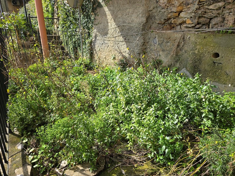 Quadrilocale in Vendita a Zoagli, 175'000&euro;, 82 m²