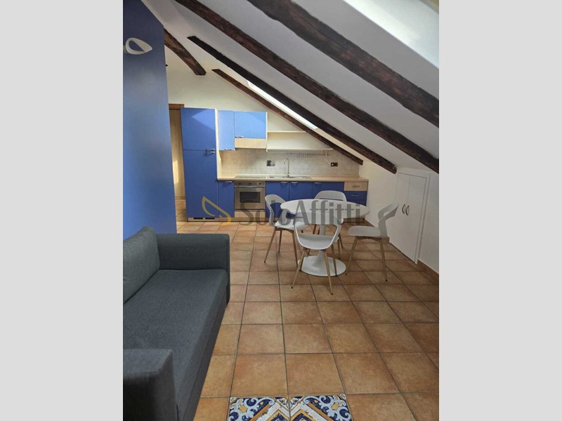 Monolocale in Affitto a Torino, zona Cenisia, 580&euro;, 48 m², arredato