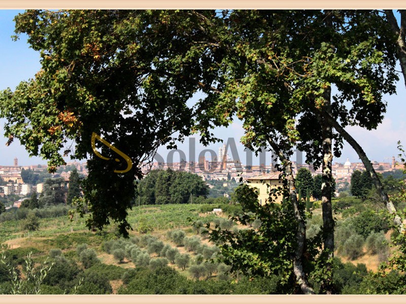 Trilocale in Affitto a Siena, zona Val di Pugna, 900&euro;, 80 m², arredato