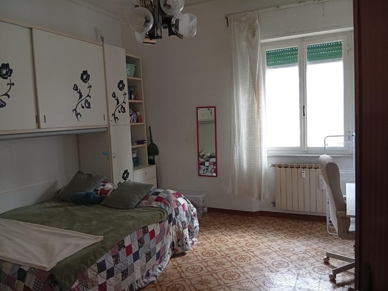 Quadrilocale in Affitto a Pisa, 250&euro;, 16 m², arredato