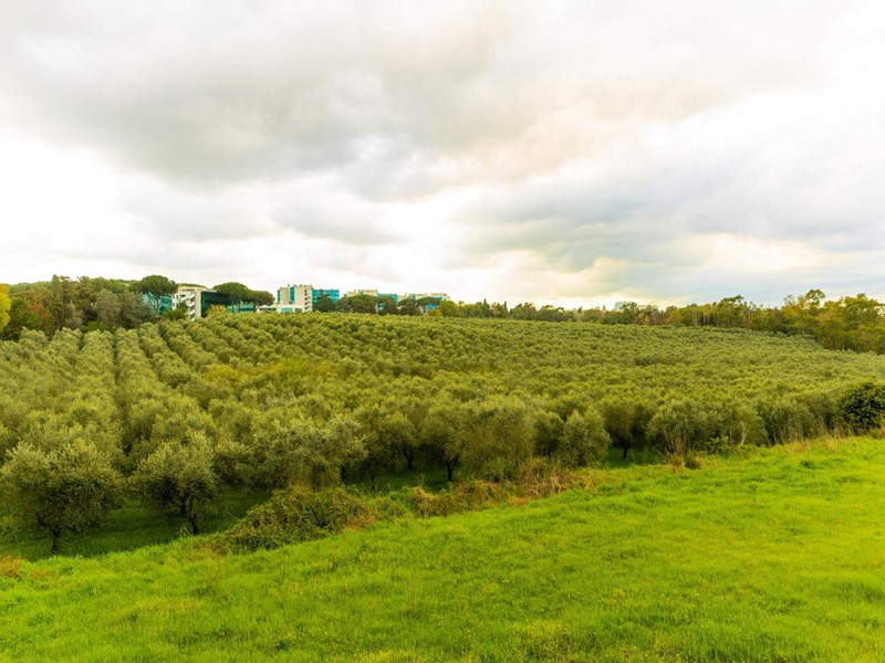 Appartamento in Vendita a Roma, 840'000&euro;, 197 m²