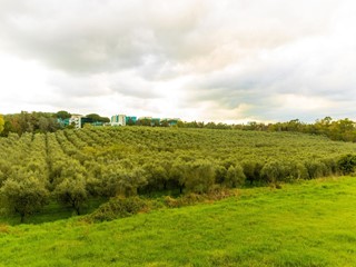 Appartamento in Vendita a Roma, 840'000&euro;, 197 m²