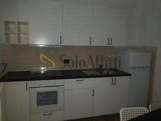 Bilocale in Affitto a Torino, zona San Donato, 540&euro;, 45 m², arredato