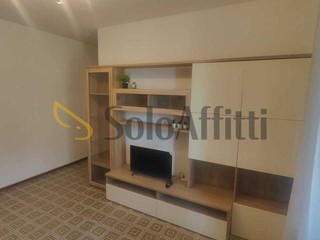Trilocale in Affitto a Cava Manara, 750&euro;, 70 m², arredato, con Box