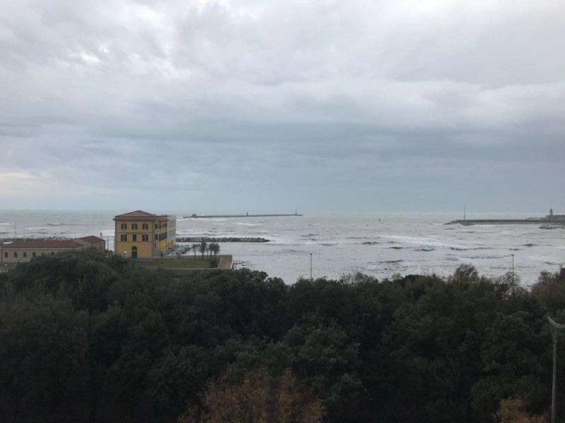 Monolocale in Affitto a Livorno, 350&euro;, 40 m², arredato