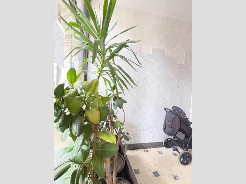 Bilocale in Vendita a Mantova, 57'000&euro;, 52 m²