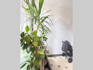 Bilocale in Vendita a Mantova, 57'000&euro;, 52 m²