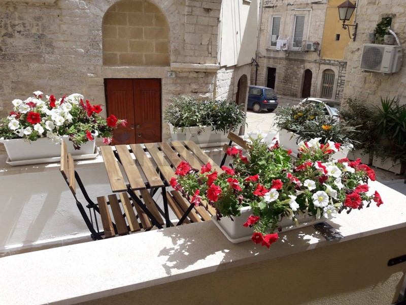 Monolocale in Affitto a Trani, 500&euro;, 50 m²