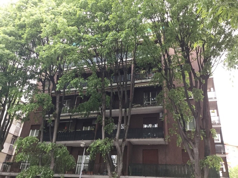 Bilocale in Affitto a Monza, 650&euro;, 81 m², arredato