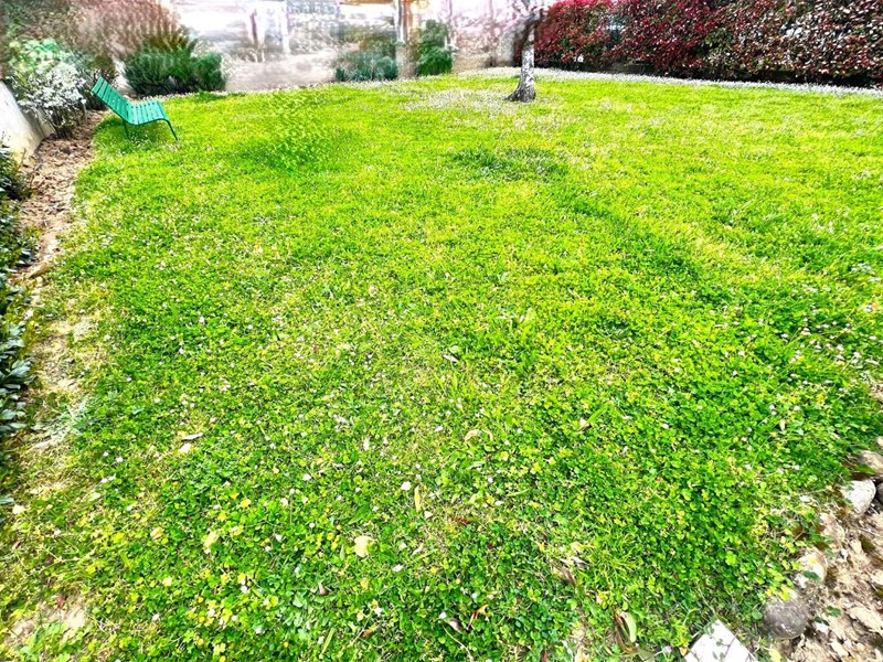 Appartamento in Vendita a Montelupo Fiorentino, 310'000&euro;, 105 m², con Box