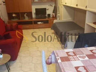Monolocale in Affitto a Torino, zona Borgo Vittoria, 450&euro;, 35 m², arredato
