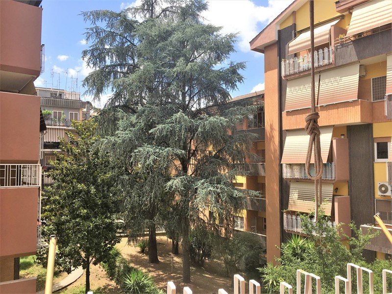 Bilocale in Affitto a Roma, 950&euro;, 37 m²