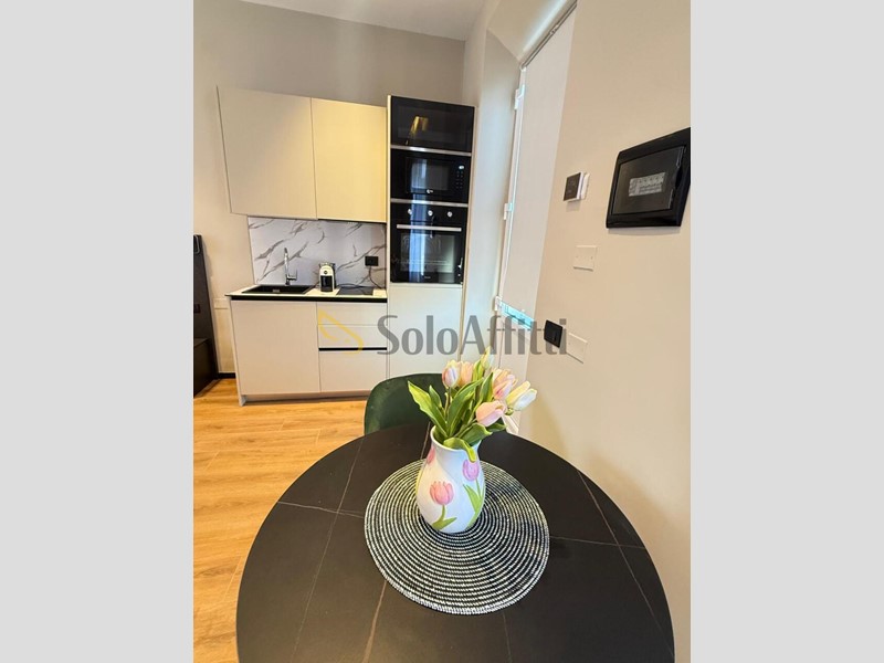 Monolocale in Affitto a Seveso, zona Stazione F.N.M., 700&euro;, 40 m², arredato