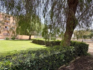 Trilocale in Affitto a Siracusa, 500&euro;, 110 m², con Box