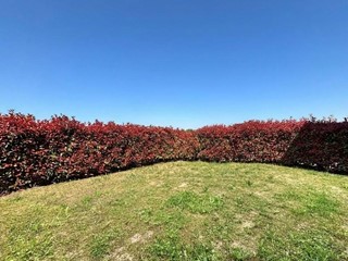 Trilocale in Vendita a Capannoli, 175'000&euro;, 75 m², arredato, con Box