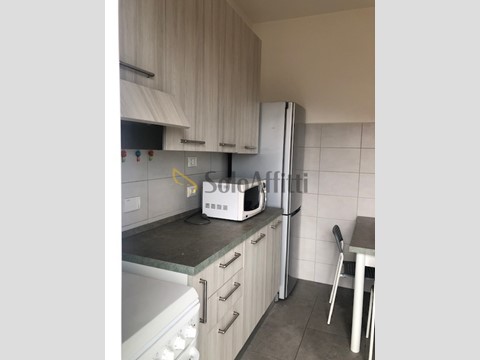 Trilocale in Affitto a Trieste, zona Viale XX Settembre, 990&euro;, 95 m², arredato