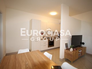 Trilocale in Affitto a Lucca, zona Santa Maria Del Giudice, 750&euro;, 50 m²