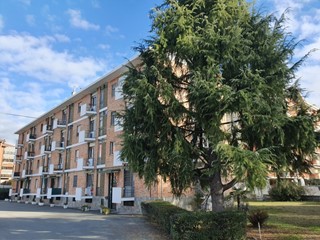 Bilocale in Vendita a Collegno, 55'000&euro;, 65 m², arredato, con Box