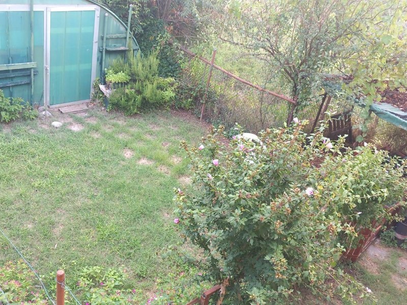 Appartamento in Affitto a Scandicci, 350&euro;, 100 m²