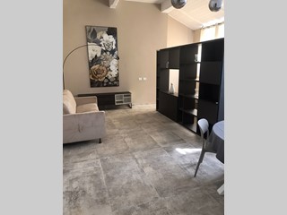 Monolocale in Affitto a Torino, 800&euro;, 65 m²