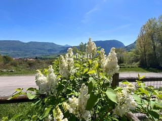 Trilocale in Vendita a Bleggio Superiore, 180'000&euro;, 100 m²