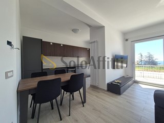 Bilocale in Affitto a Catanzaro, zona Lido Casciolino, 800&euro;, 81 m², arredato