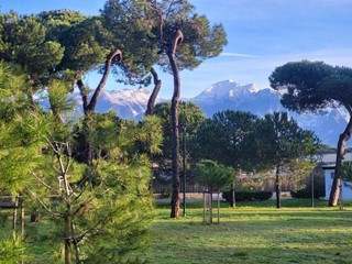 Quadrilocale in Vendita a Carrara, zona Marina di Carrara, 280'000&euro;, 80 m², arredato