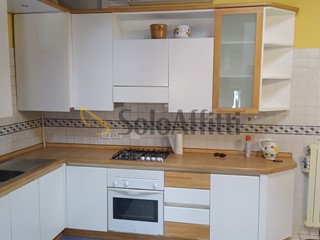 Bilocale in Affitto a Sassuolo, 530&euro;, 40 m², arredato