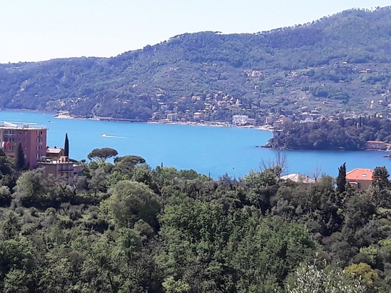 Appartamento in Vendita a Rapallo, zona S. AMBROGIO, 495'000&euro;, 143 m², arredato