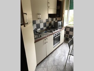 Appartamento in Affitto a Pisa, 320&euro;, 20 m², arredato