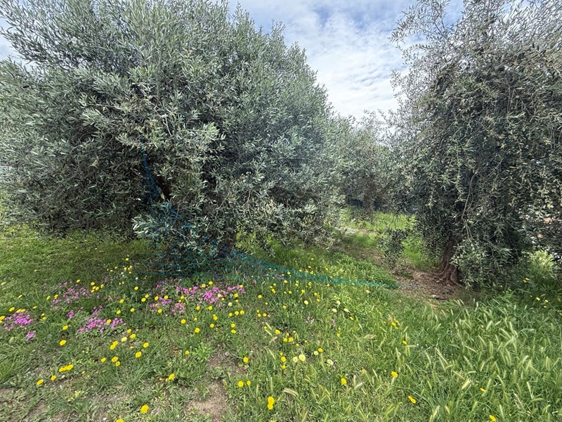 Appartamento in Vendita a Rosignano Marittimo, 155'000&euro;, 112 m²