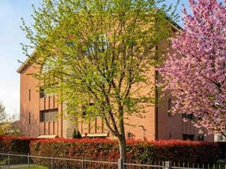 Bilocale in Vendita a Certosa di Pavia, 78'000&euro;, 41 m²