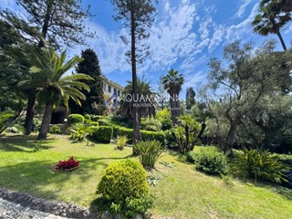 Trilocale in Affitto a Bordighera, 120 m²