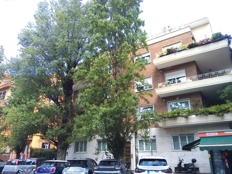 Bilocale in Affitto a Roma, 1'000&euro;, 40 m², arredato
