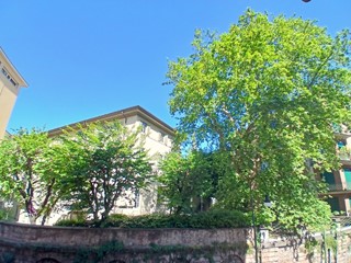 Appartamento in Affitto a Torino, zona Vanchiglia, 1'600&euro;, 160 m²