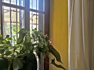 Appartamento in Vendita a Asciano, 390'000&euro;, 225 m²